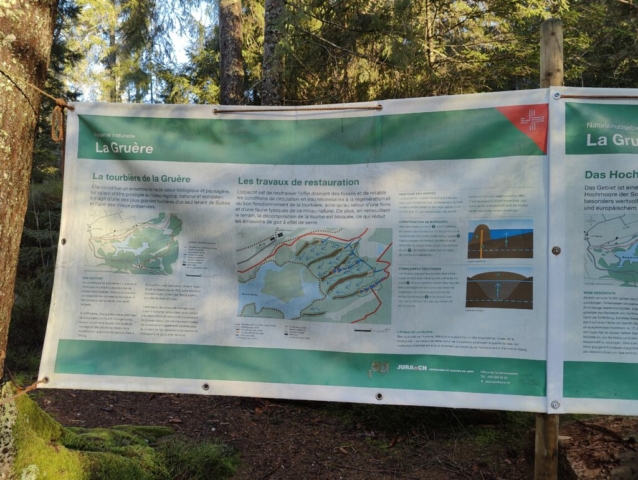 IMG20231217154130