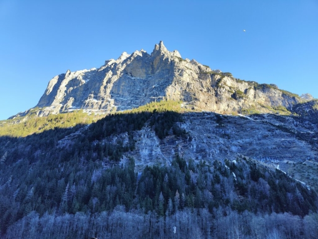 IMG20231218145010