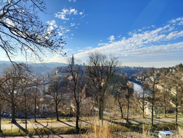 IMG20231219142831