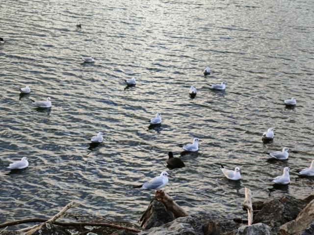 IMG20231220155715